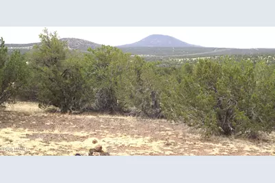 1641 Lara Lane, Williams, AZ 86046 - Photo 2