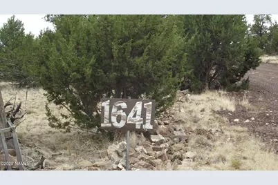 1641 Lara Lane, Williams, AZ 86046 - Photo 6