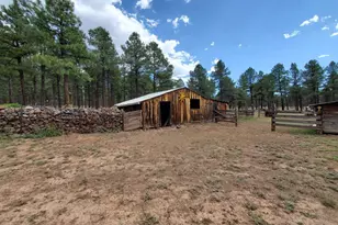 995 N Transwestern Pump Rd, Bellemont, AZ 86015 - Photo 16