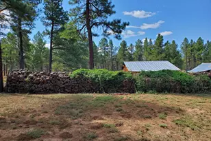 995 N Transwestern Pump Rd, Bellemont, AZ 86015 - Photo 10