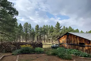 995 N Transwestern Pump Rd, Bellemont, AZ 86015 - Photo 18