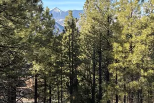 629 N Snowberry Circle, Flagstaff, AZ 86004 - Photo 8