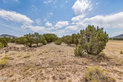 8359 N 8 Mile Boulevard, Williams, AZ 86046 - Photo 6