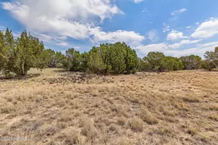 8359 North 8 Mile Boulevard, Williams, AZ 86046 - Photo 4