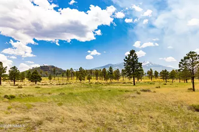 0 Snow Bowl Estates 2, Lot 7, Flagstaff, AZ 86001 - Photo 6