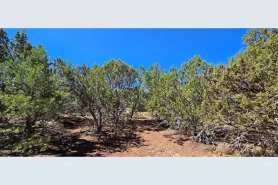 1426 W Antelope Lane, Williams, AZ 86046 - Photo 8