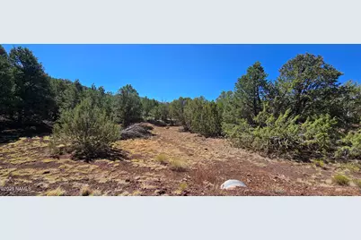 1426 W Antelope Lane, Williams, AZ 86046 - Photo 4