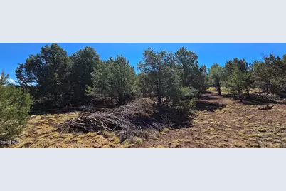 1426 W Antelope Lane, Williams, AZ 86046 - Photo 20
