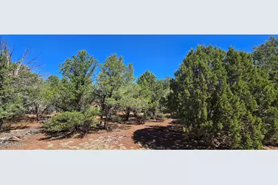 1426 W Antelope Lane, Williams, AZ 86046 - Photo 10