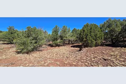 1426 W Antelope Lane, Williams, AZ 86046 - Photo 12
