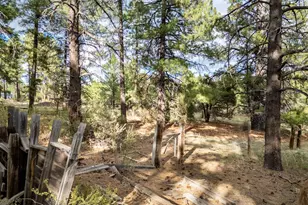 129 N Spitz Spring Rd, Parks, AZ 86018 - Photo 56