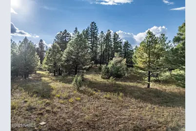 129 N Spitz Spring Road, Parks, AZ 86018 - Photo 58