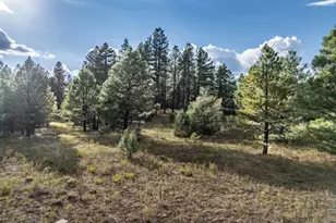 129 N Spitz Spring Rd, Parks, AZ 86018 - Photo 58