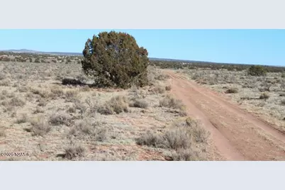 2447 E Wingfield Road, Williams, AZ 86046 - Photo 8