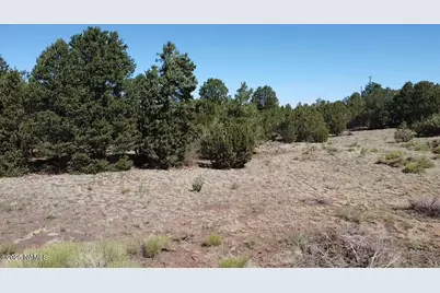 1665 W Maverick Lane, Williams, AZ 86046 - Photo 14