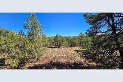 1601 W Wolf Lane, Williams, AZ 86046 - Photo 10