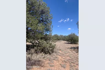 135 S Wyandotte Road, Williams, AZ 86046 - Photo 6
