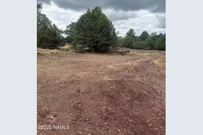 1269 E Tamarack Street, Williams, AZ 86046 - Photo 8