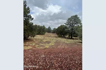 1269 E Tamarack Street, Williams, AZ 86046 - Photo 6