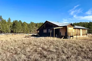 12405 Forest Service 772, Flagstaff, AZ 86005 - Photo 4