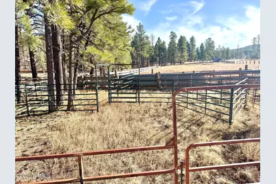 12405 Forest Service 772, Flagstaff, AZ 86005 - Photo 10