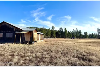 12405 Forest Service 772, Flagstaff, AZ 86005 - Photo 6