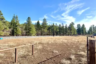 12405 Forest Service 772, Flagstaff, AZ 86005 - Photo 12