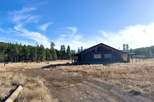 12405 Forest Service 772, Flagstaff, AZ 86005 - Photo 8