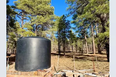 12405 Forest Service 772, Flagstaff, AZ 86005 - Photo 8