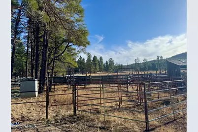 12405 Forest Service 772, Flagstaff, AZ 86005 - Photo 10