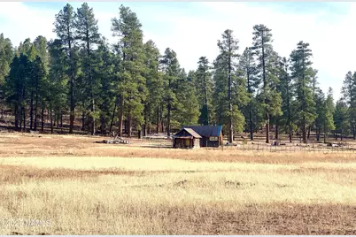 12405 Forest Service 772, Flagstaff, AZ 86005 - Photo 6