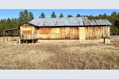12405 Forest Service 772, Flagstaff, AZ 86005 - Photo 4