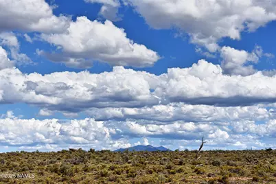 6622 S Prairie Grass Lane, Williams, AZ 86046 - Photo 14