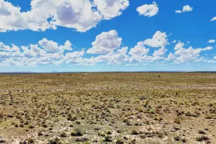 6622 S Prairie Grass Ln, Williams, AZ 86046 - Photo 1