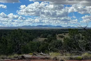 6197 Bird Dog Cir, Williams, AZ 86046 - Photo 52