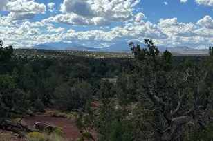 6197 Bird Dog Cir, Williams, AZ 86046 - Photo 50