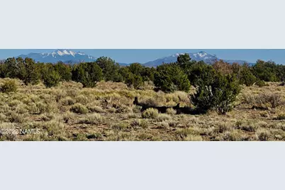 4117 Red Butte Road #Lot B, Williams, AZ 86046 - Photo 1