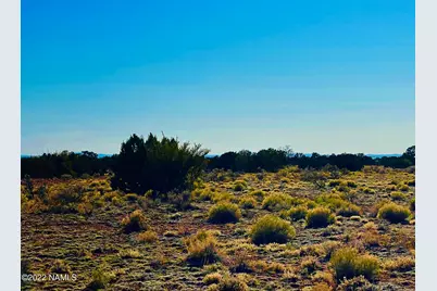 4117 Red Butte Road #Lot B, Williams, AZ 86046 - Photo 4