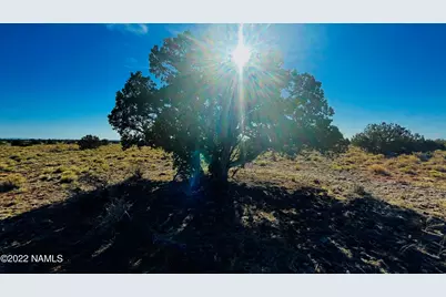 4117 Red Butte Road #Lot B, Williams, AZ 86046 - Photo 8