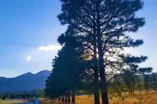 12970 Doyle Rd, Flagstaff, AZ 86004 - Photo 18