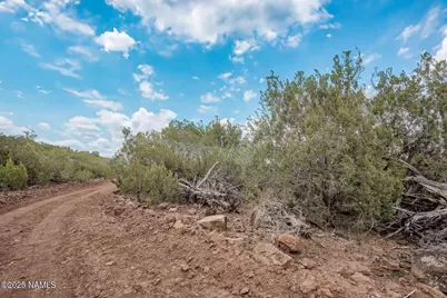 145 Valhalla, Williams, AZ 86046 - Photo 28