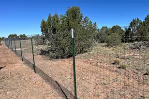 613 E Mountain Cat Rd, Williams, AZ 86046 - Photo 6