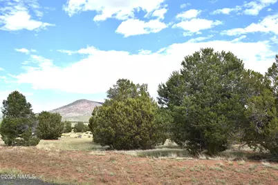 7748 Daisy Drive, Williams, AZ 86046 - Photo 10