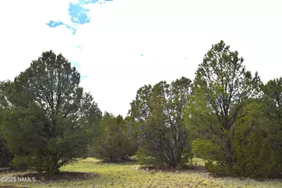 7748 Daisy Drive, Williams, AZ 86046 - Photo 12