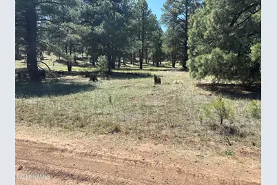 5920 White Tail Lane, Flagstaff, AZ 86005 - Photo 12