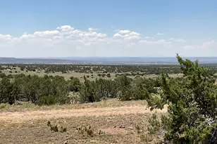 6379 County Road 61 N, Saint Johns, AZ 85936 - Photo 4