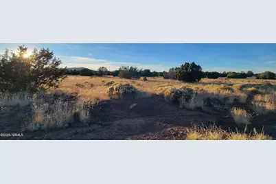 7950 Daisy Drive, Williams, AZ 86046 - Photo 4