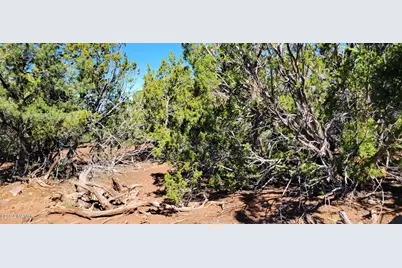 2432 E Fir Street, Williams, AZ 86046 - Photo 4