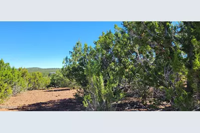 2432 E Fir Street, Williams, AZ 86046 - Photo 10