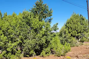 2432 E Fir St, Williams, AZ 86046 - Photo 1